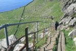 PICTURES/Neist Point Lighthouse/t_Path21.JPG